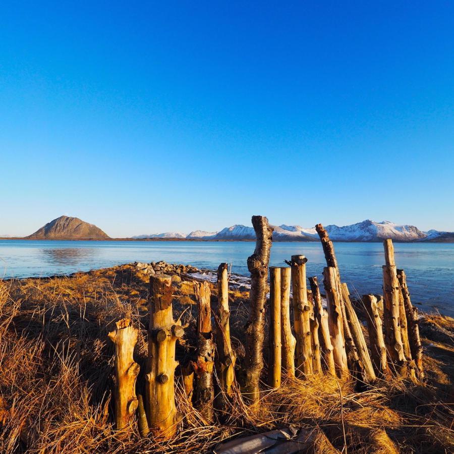 Eagle View Lofoten Bostad エクステリア 写真